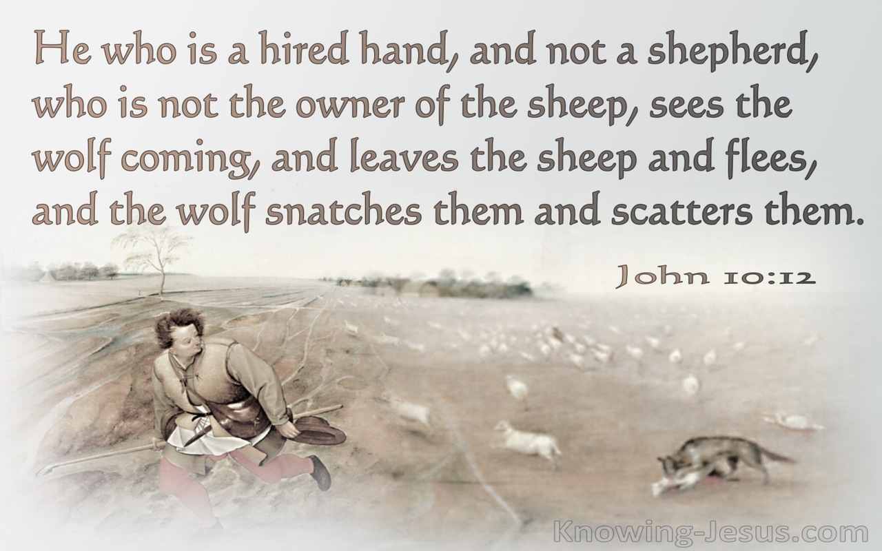 John 10:12 He Who Is A Hired Hand And Not A Shepherd (gray)